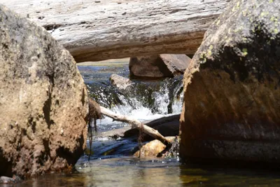 DSC_3705 (Large).JPG